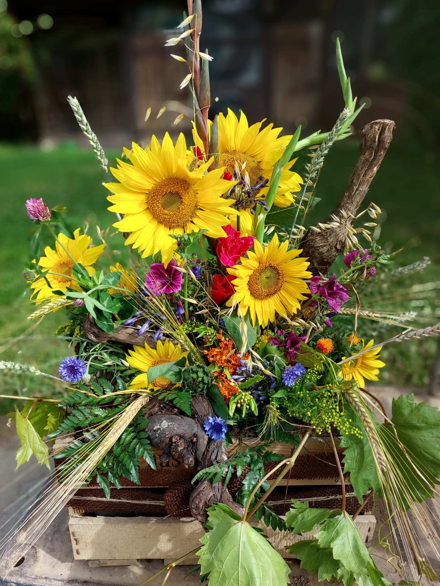 Geburtstag &amp; Anlässe